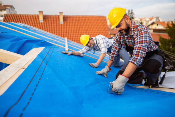 Best Metal Roofing Contractor  in Depew, NY